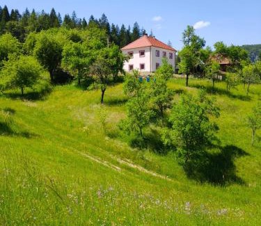 Zlatibor Casa | Oaza mira Zlatarsko jezero