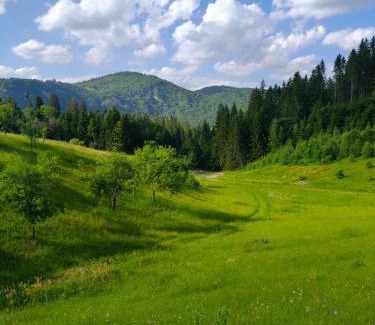 Zlatibor Casa | Oaza mira Zlatarsko jezero
