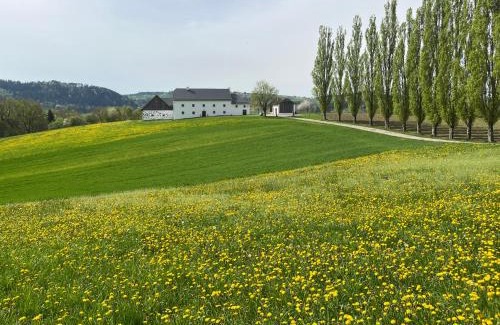 Pregarten Casa | Obstgartl - Ferienhaus Mühlviertler Hügelland