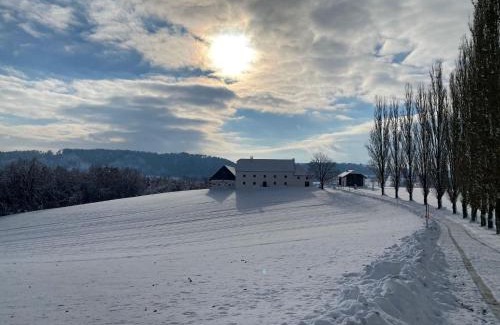 Pregarten Casa | Obstgartl - Ferienhaus Mühlviertler Hügelland
