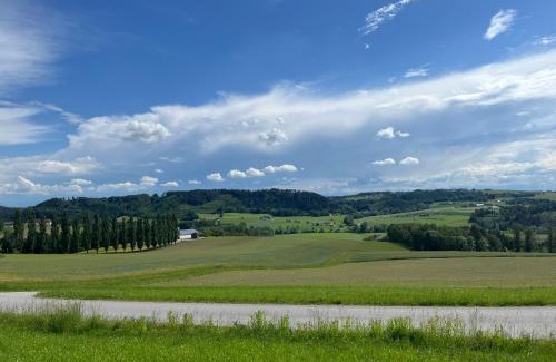 Pregarten Casa | Obstgartl - Ferienhaus Mühlviertler Hügelland