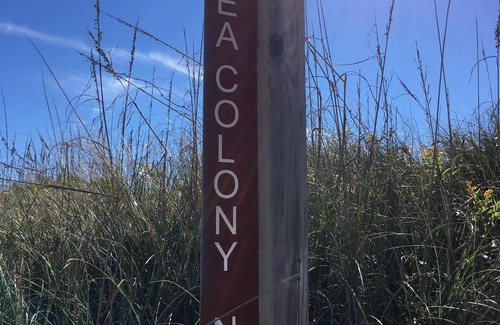 Duck Condominio | Dos minutos a pie de la playa: ¡uno si corres en Ocean Breeze!