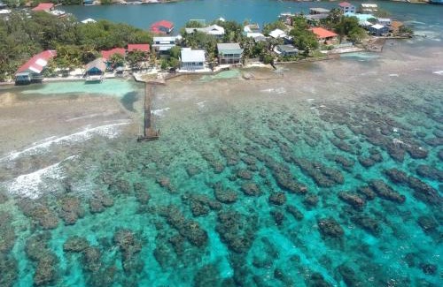 Calabash Bight Casa | Ocean Breeze Villa Rentals