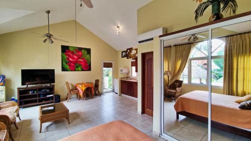 Cabarete Apartamento | Ocean Dream 1st See Line Studio