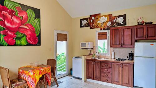 Cabarete Apartamento | Ocean Dream 1st See Line Studio