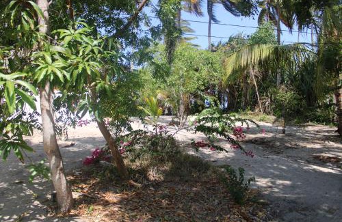 Pangani Casa | Ocean Dream Villa