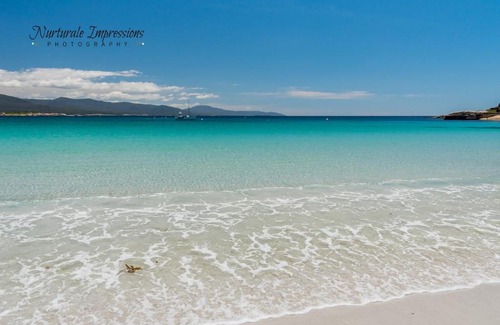 Bicheno Apartamento | Ocean Dreams