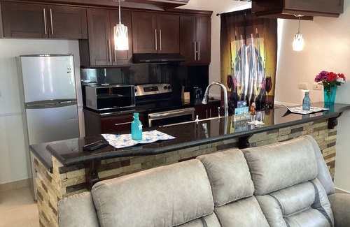 Urbanizacion Tavarez Condominio | Ocean Front 1st FL Poolside 2bd/2ba Posh Condo^Playa Alisha Beach^