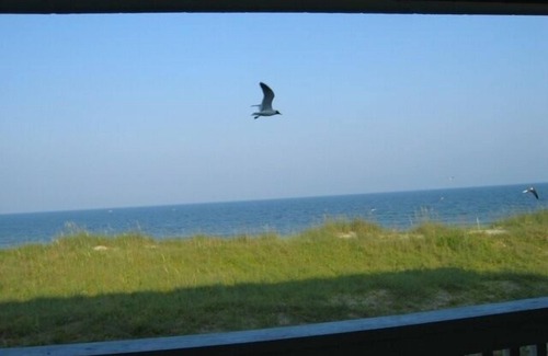North Carolina Coast Condominio | Condominio frente al mar con piscina - Fechas disponibles en agosto
