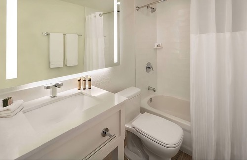 Islamorada Complejo | Ocean Front Studio w/Kitchenette, Pool, Free Parking & Pet Friendly