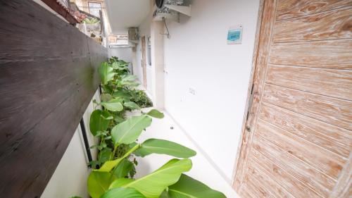 Sanur Apartamento | Ocean Star Apartment Sanur