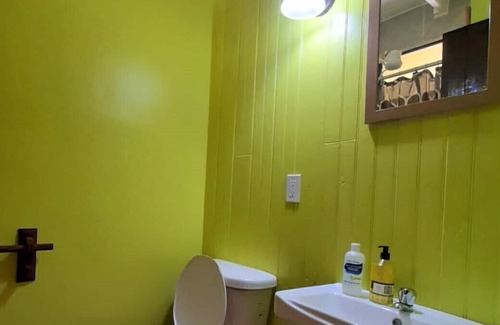 Gales Point Apartamento | Ocean View Beach Front Green Cabana 3, AC, Wi-Fi, Swim Pool