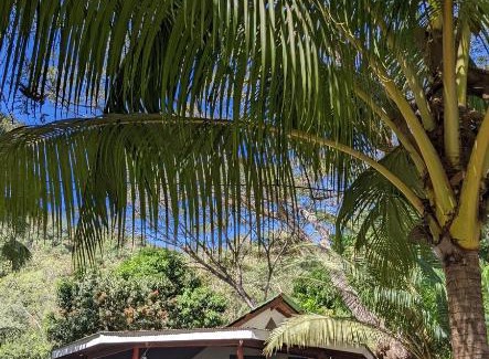 Cóbano Casa | Ocean View