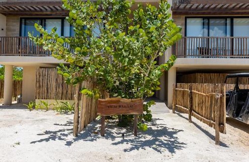 Isla Holbox Hotel | Ocean View Loft in Punta Cocos - C102