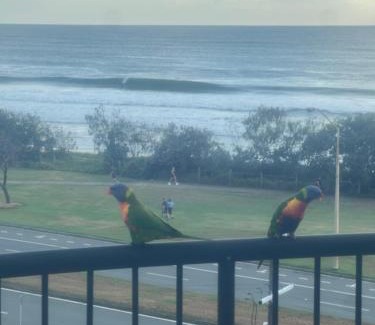Alexandra Headland Apartamento | Ocean Views - Top floor