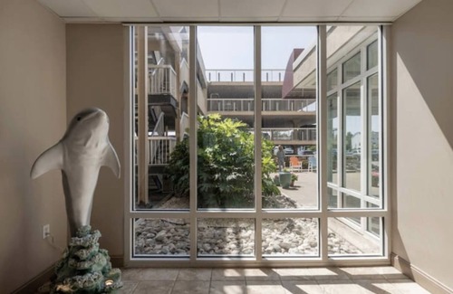 Northeast Virginia Beach Condominio | Oceanfront 3-BR boardwalk condo w indoor pool!