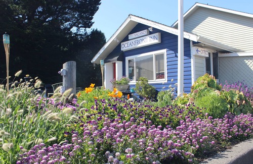 Shelter Cove Apartamento | Oceanfront Inn at Shelter Cove