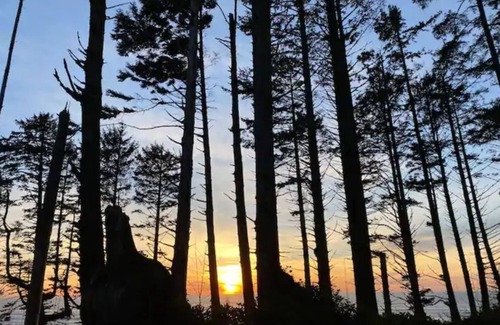 Jefferson County Cabina | Oceanfront Olympic Cabin— Secluded & Vast (2BR)