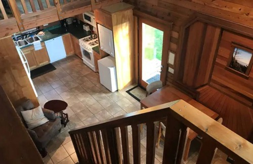 Jefferson County Cabina | Oceanfront Olympic Cabin— Secluded & Vast (2BR)