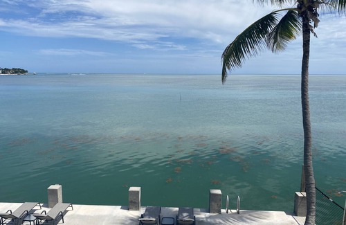 Little Venice Casa | Oceanfront, Pool, Tiki Hut, Magnificent Views, Near Vaca, Great Dockage, Kayaks
