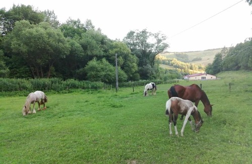 Matiaska Apartamento | Oddychový pobyt na rodinnej farme