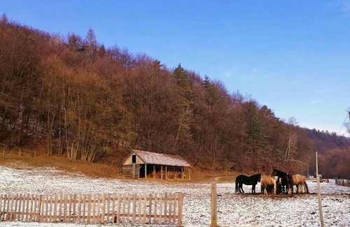 Matiaska Apartamento | Oddychový pobyt na rodinnej farme