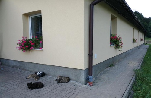 Matiaska Apartamento | Oddychový pobyt na rodinnej farme
