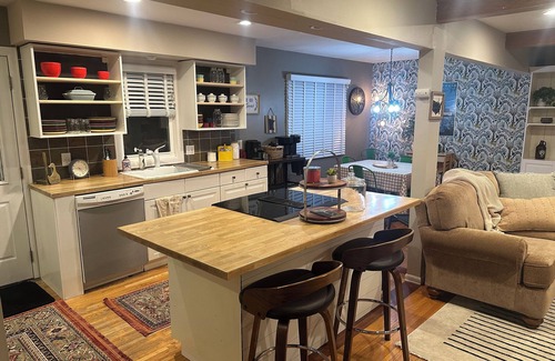 St. Anthony Casa | Ode to Minnesota, stylish and cozy 3 bedroom house