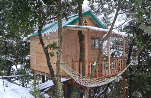 Kaul Casa | Odyssey Stays Mukteshwar - 300 Metres Trek