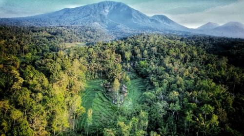 Wongaya Gede Cabina | Oemah Tepi Sawah