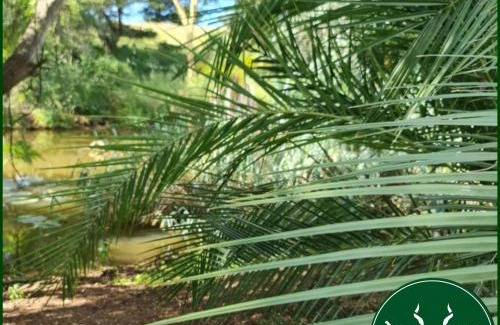 Hluhluwe Otro | Off-Grid Campsites at Ngweni Private Game Farm Accommodation