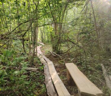 Laaneranna Parish Otro | Off-grid forest glamping