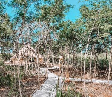 McCully - Moiliili Otro | Off Grid Glamping Tent close to Haleiwa Town