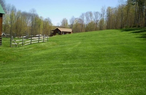 Middlebury Center Cabina | HERMOSA CABINA PRIVADA WELLSBORO MANSFIELD - PA GRAND CANYON PETS - WIFI