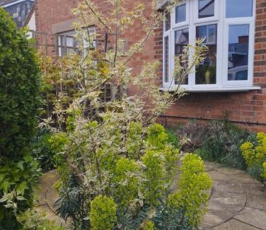 Leamington Spa Casa | Offa Home