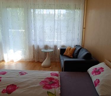 Offenburg Apartamento | Offenburg Apartment