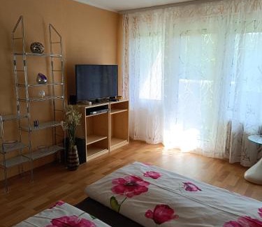 Offenburg Apartamento | Offenburg Apartment
