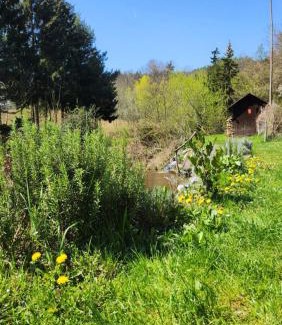 Obritzberg-Rust Casa | OFFGRID Haus am Angelteich
