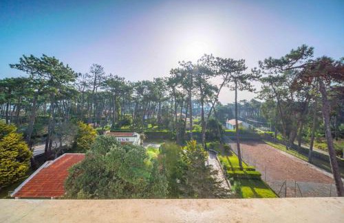 Ofir Apartamento | Ofir Dream House