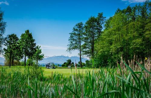 Kematen an der Krems Complejo | OG's Golf Lodge