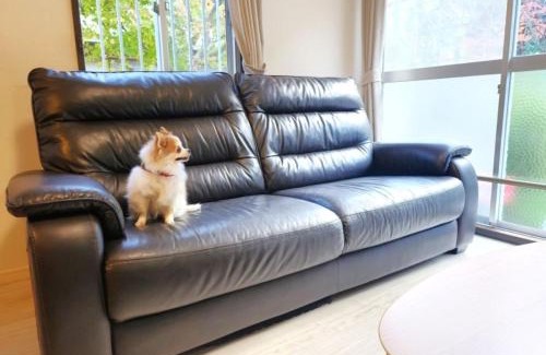 Sumoto Onsen Casa | Ohama House