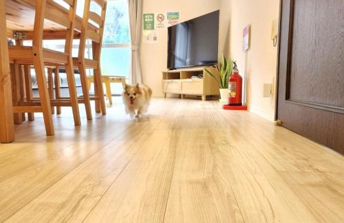 Sumoto Onsen Casa | Ohama House