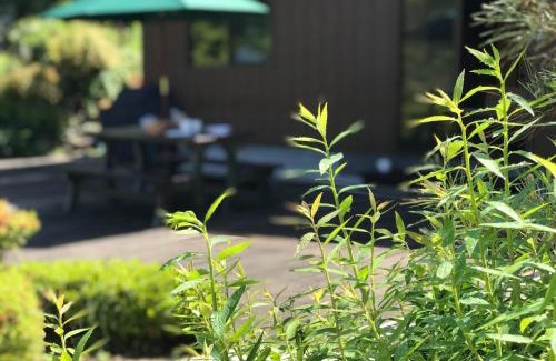 Ohara Casa | Ohara Sensui Surrounded by Beautiful Nature