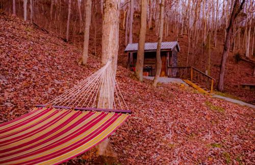 Lynx Otro | Ohio Starlight Glamping Cabins - A Peaceful Woodland Retreat
