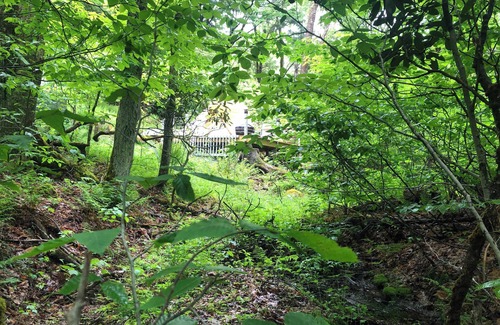 Ferndale Alquiler De RV | Okama Abon Bell Tent, River View Taino Woods 15 minutes to Bethel Woods Concerts