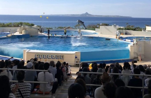 Gushiken Apartamento | Okinawa Freedom