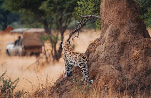 Otjozondjupa Region Cabina | Okonjima Plains Camp