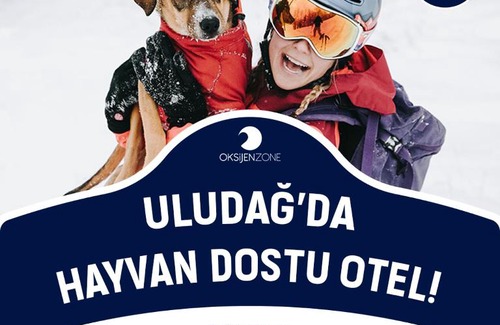 Osmangazi Casa | OKSIJEN ZONE PET HOTEL SPA Only Pet
