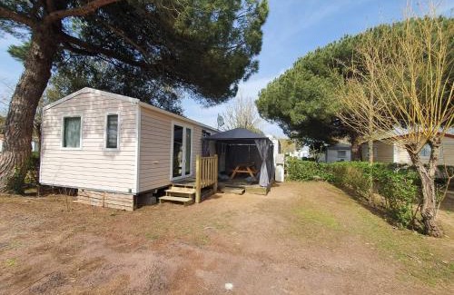 La Cotiniere Otro | Oléron La Cotinière Camping Nature & Calme, Piscine, Plage à 150m