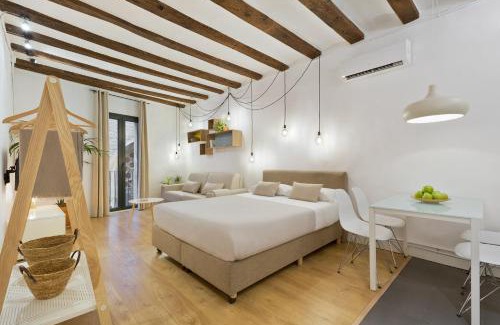 El Born Apartamento | Ola Living Born